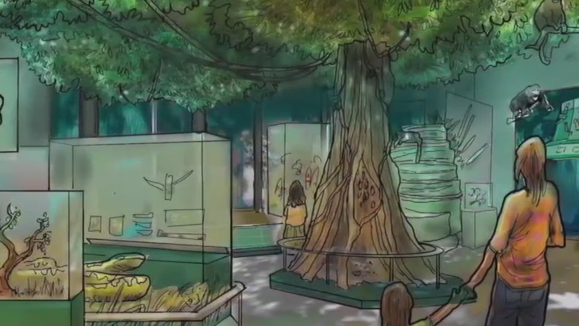 Milwaukee Public Museum rainforest gallery, rooftop terrace revealed